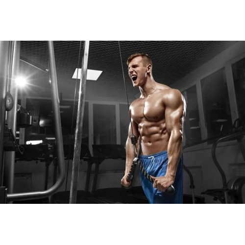 creatine gummies watermelon berry strawberry flavor lemon