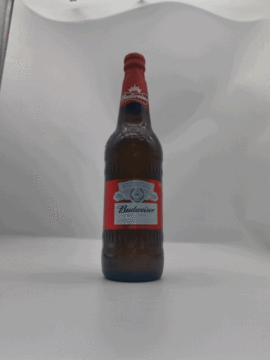 Lebah kalengan 580ml Budweiser