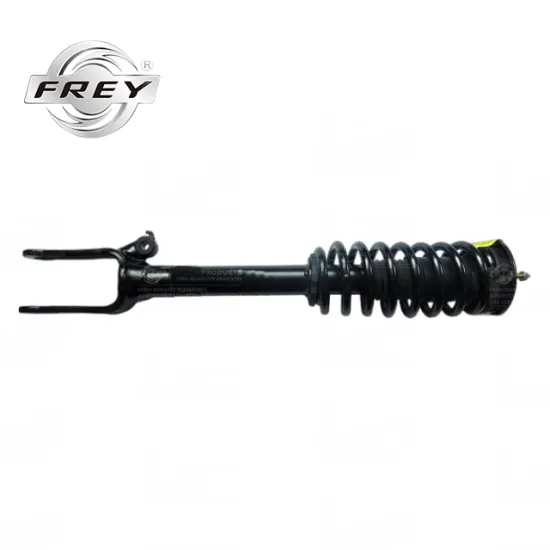 Auto Parts Front Shock Absorber 2513202813 For Benz