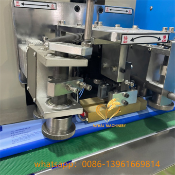 Horizonta Packaging Auto Fruit Flow Packing Machine