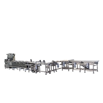 High Speed Servo Packing Machine for Pillow Packaging