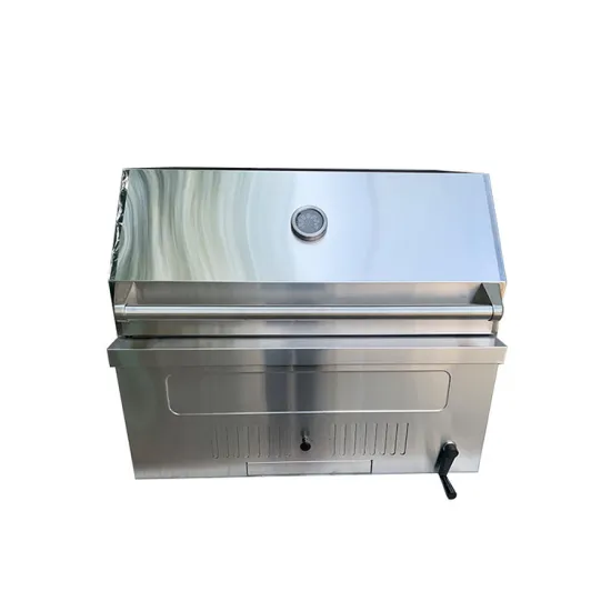 Outdoor Garden Gas Charcoal Grill Stainless Steel Built-in Large Outdoor Bbq Grill