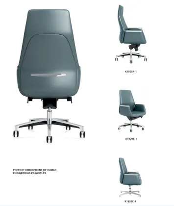 Business Sedentary Boss Office Ergonomic Office Chair