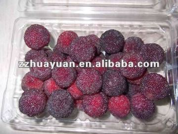 Exmport Fresh Chinese Black pulp waxberry