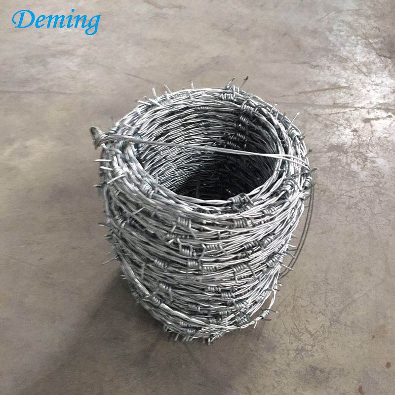 SS304 Stainless Steel Double Twist Barbed Wire