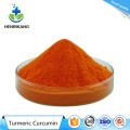 Buy online active ingredients Turmeric Curcumin powder