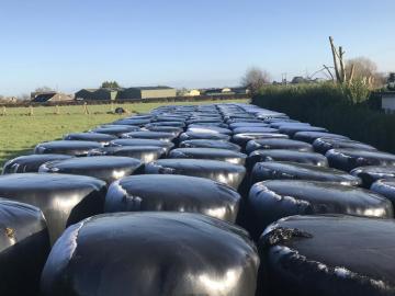 Haylage Wickelfolie Schwarz Farbe