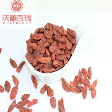 High nutrition Certified better taste goji berries