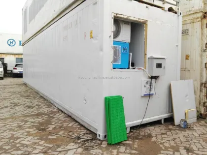 Mung Bean Sprouts Making Machine & Hydroponic Seed Sprouting Equipment