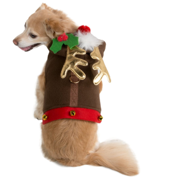 Vêtements de Noël pour chien de compagnie