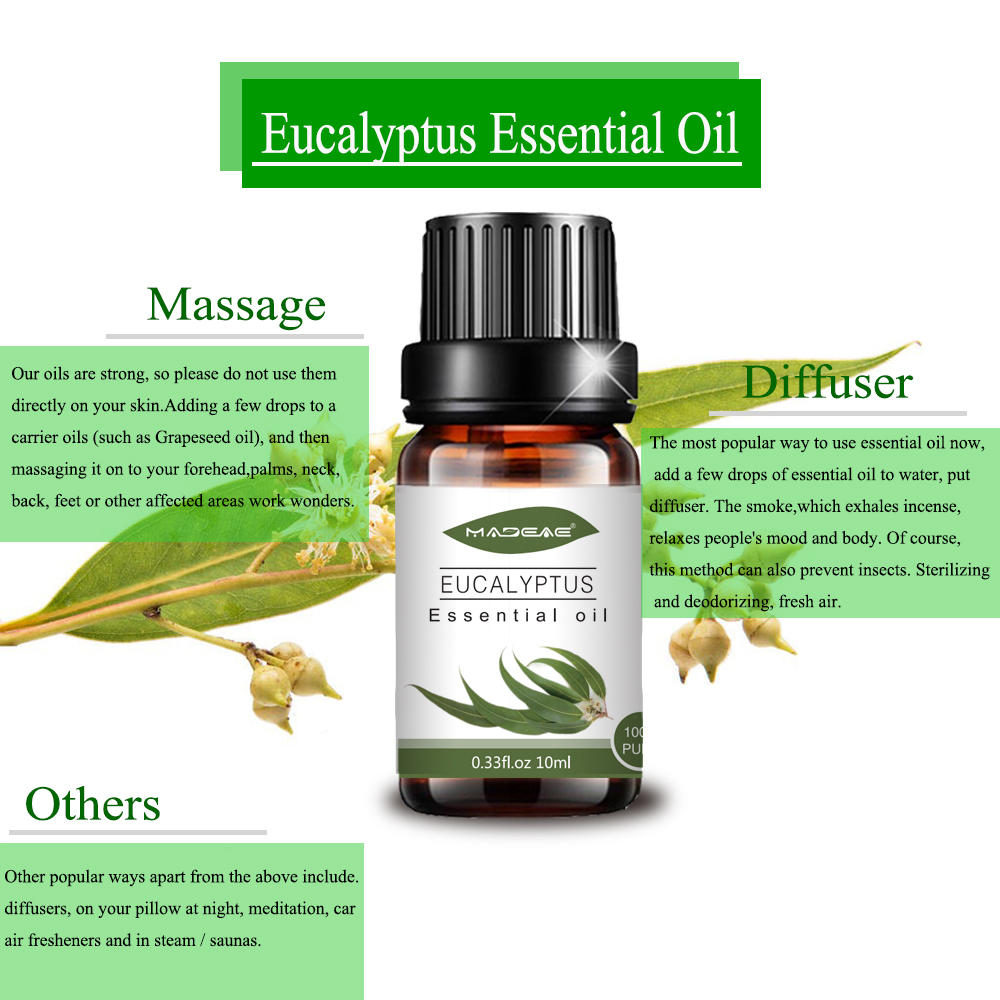 Wholesale organic Eucalyptus Essential Oil for Aroma massage