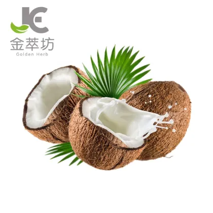 Instant coconut milk powder coconut protein powder
