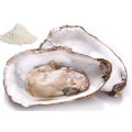 Mannelijke gezondheidszorg supplement oester extract peptiden poeder