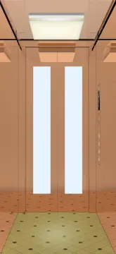 Residential Elevator for Tall Building at High Speed