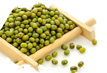 New Crop Green mung beans 3.2mm