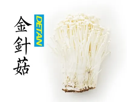 advance nutrients fresh mushroom Enokitake/ Enoki / Golden Needle Mushroom