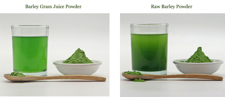 Water Soluble Of Barley Grass Powder