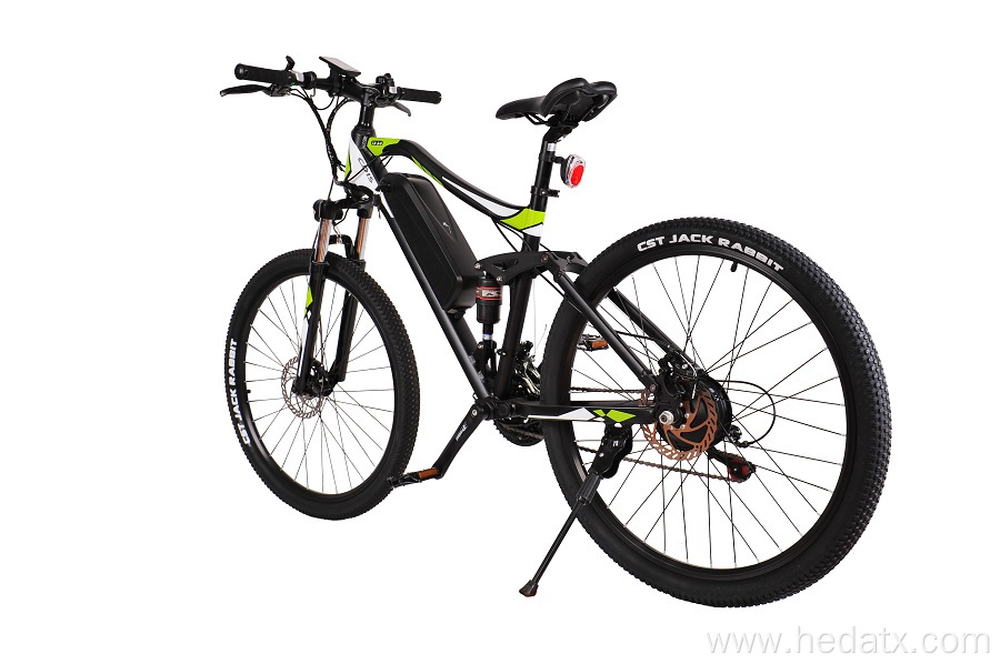 Adult electric mountain bicycles