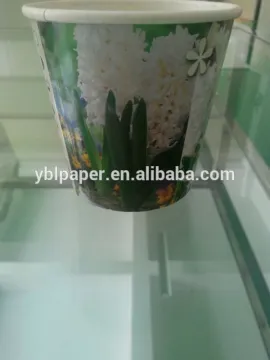 Custom Print Flower Pot
