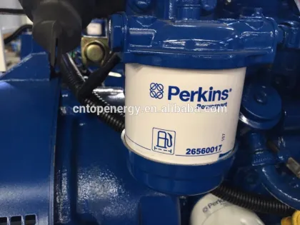 13KVA FG WILSON open and with cabinet gensets (P11-6S P13.5-6 P16-6S) FG wilson Diesel generator Factory Price