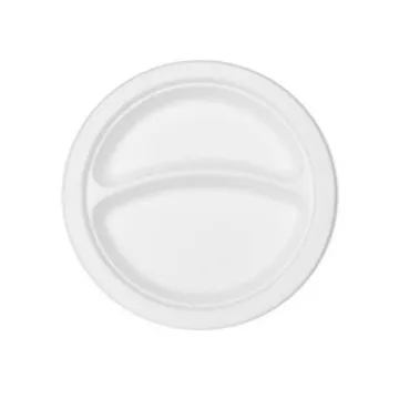 Biodegradable 2 Compartment Pulp Plates Bagasse Tray