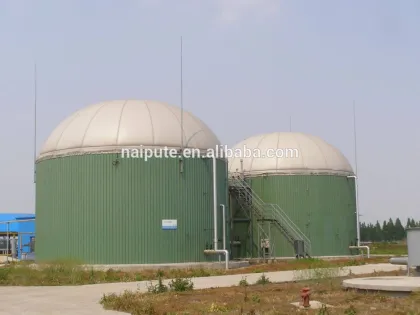 300kW biogas bags/biogas digester generator
