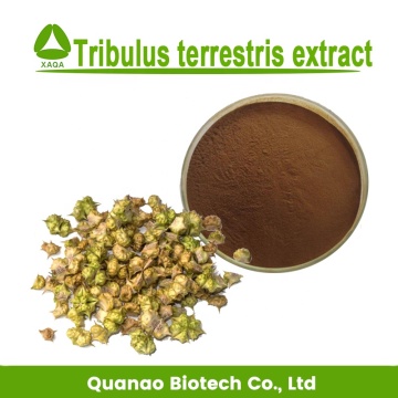 Male Healthcare Tribulus Terrestris Extract Powder Saponins