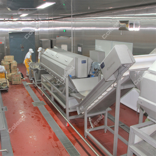 Continuous Potato Peeling Line Peeling and Washing Machine