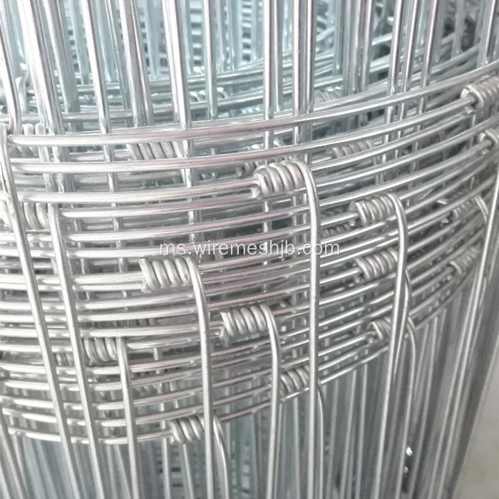 Hinge Joint Knot Galvanized Kraal Network