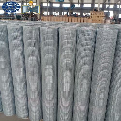 Kawat draadgaas gelaste draadhek