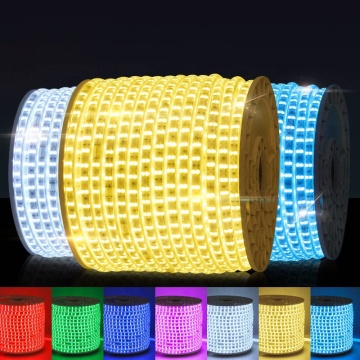 Foshan Suppliers 220V LED Strip Lights