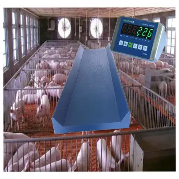 Animal Scale for Weighing Live Animals
