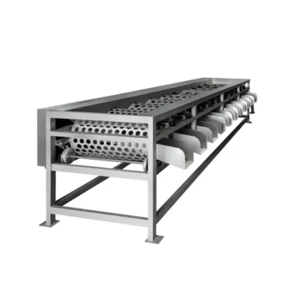 Stainless Stell Vegetable Grading Machine