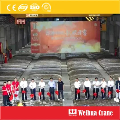 Winery House Overhead Crane