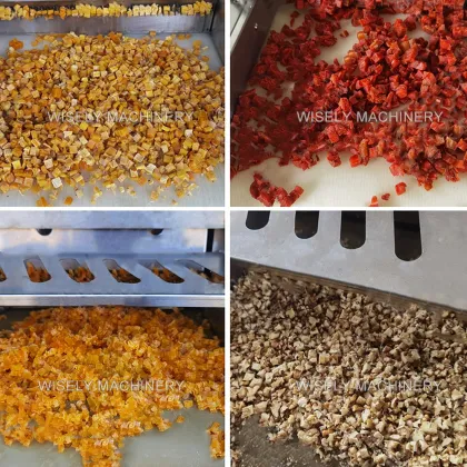 Dried Fruit Dicing Machine: Mango, Dates, and Raisins