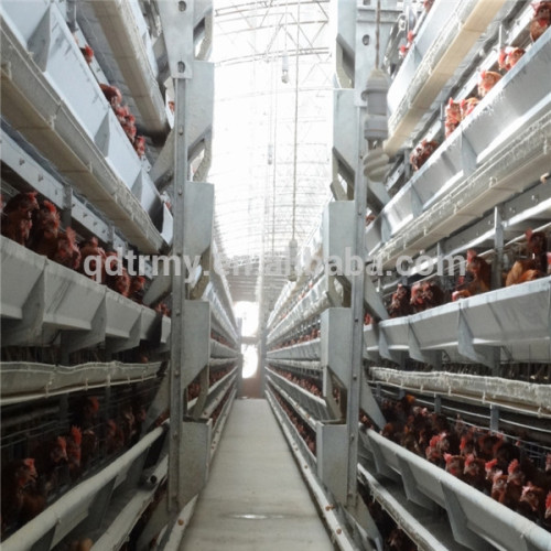 H frame galvanized Q235 steel automatic chicken egg layer cages