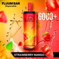 Fluum Bar 6000+일회용 vape