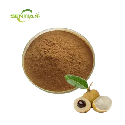 Natural Dried Dimocarpus Longan Extract