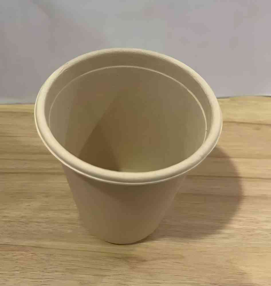 Disposable high-quality molded paper pulp tea cup