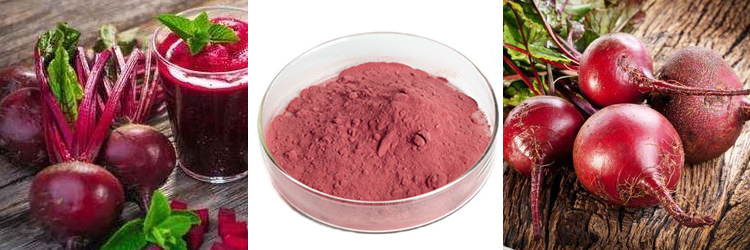 Pigment vízoldható betanin piros répa gyökérlé koncentrátumpor