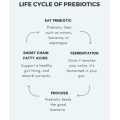 Prebiotics Organic Tapioca Isomalto oligosaccharide 90 syrup