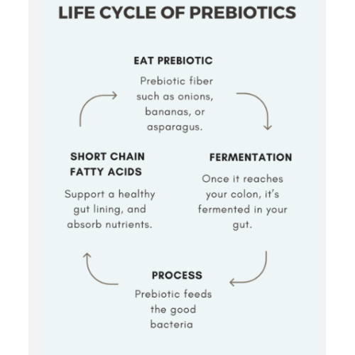 High-Maltose Syrup Prebiotics Organic Tapioca Isomalto oligosaccharide 90 syrup Supplier