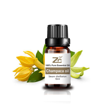 น้ำมัน Champaca จำนวนมาก Champaca Absolute Oil ราคาขายส่ง