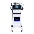 Máquina de limpieza facial Hydra Dermabrasion 10 en 1