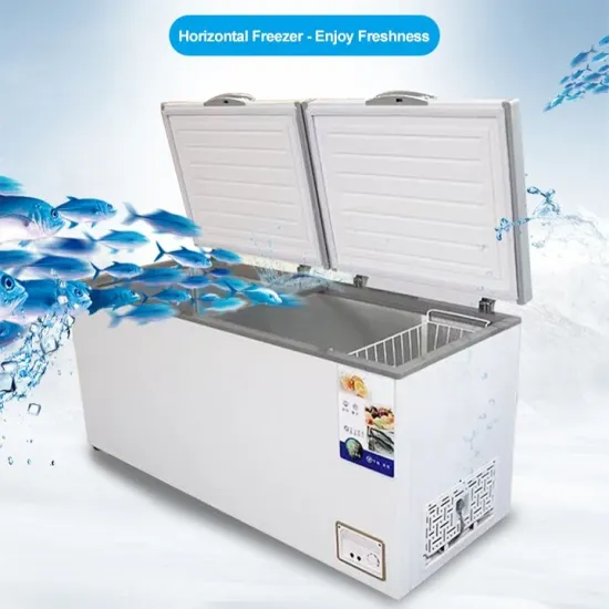 Chest Other Upright Small Deep Commercial Freezer Vertical