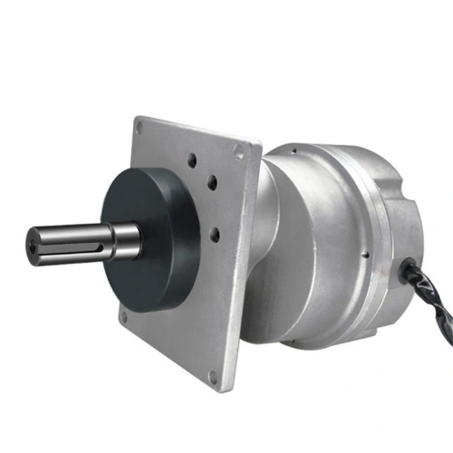 250w bldc motor