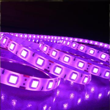 good price 24v non-waterproof 5050 flexible led strip online for kitchen