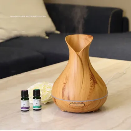 Ultrasonic aromatherapy air humidifier Fragrance Diffuser