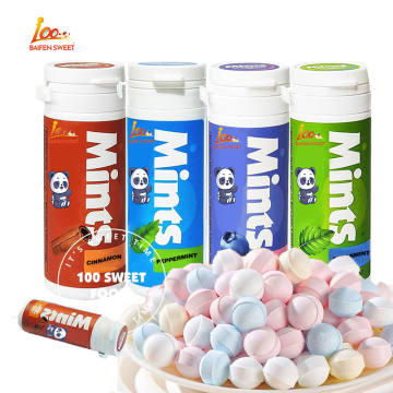 Custom Logo Xylitol Mints: 100pcs Sugar-Free Low-Calorie Assorted Flavors