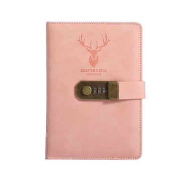 Custom Pink PU Leather Smart Notebook with Code Lock - 2022 Diary